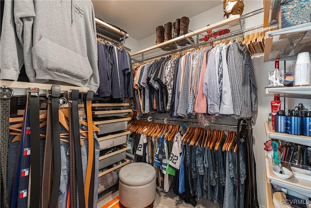 2449 Gold Leaf Cir, Henrico, VA 23233 - view of spacious closet