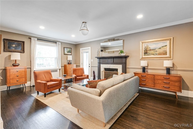 5005 Caledonia Rd, Richmond, VA 23225 - living area with wood finished floors, ornamental molding, a premium fireplace, recessed lighting, and radiator