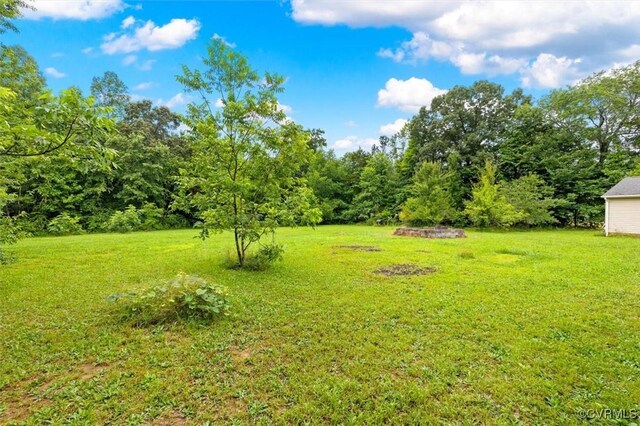 4273 Bethany Church Rd, Louisa, VA 23024 - photo 11