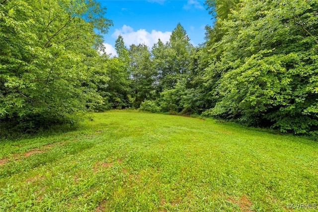 4273 Bethany Church Rd, Louisa, VA 23024 - photo 12