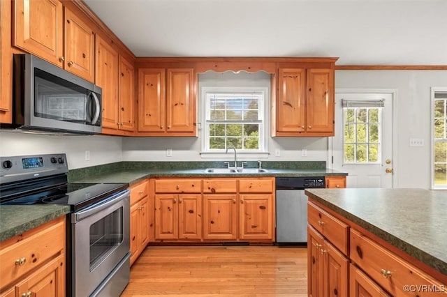 4273 Bethany Church Rd, Louisa, VA 23024 - photo 23