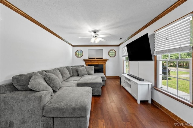 503 S Holly Ave, Henrico, VA 23075 - living room with ceiling fan, ornamental molding, a textured ceiling, dark wood-type flooring, and a fireplace