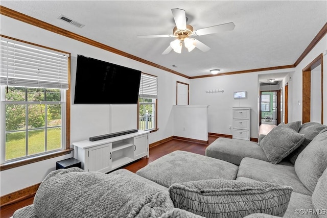 503 S Holly Ave, Henrico, VA 23075 - living area with dark wood-style flooring, a ceiling fan, and ornamental molding