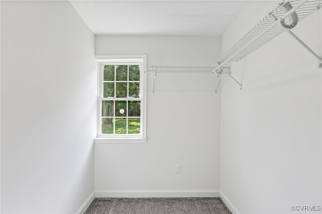 5318 Pine Hill Rd, Sutherland, VA 23885 - spacious closet featuring carpet