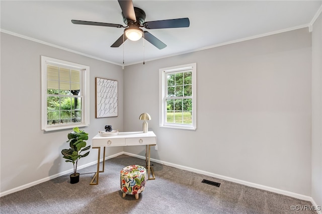 5318 Pine Hill Rd, Sutherland, VA 23885 - carpeted office with ornamental molding and a ceiling fan