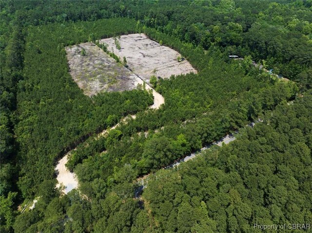 20AC Ridge Rd, Cobbs Creek, VA 23035 - photo 2