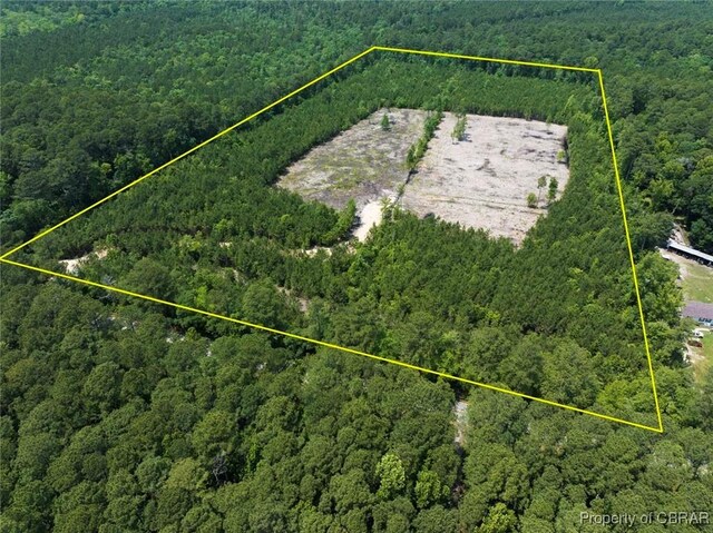 20AC Ridge Rd, Cobbs Creek, VA 23035 - photo 19