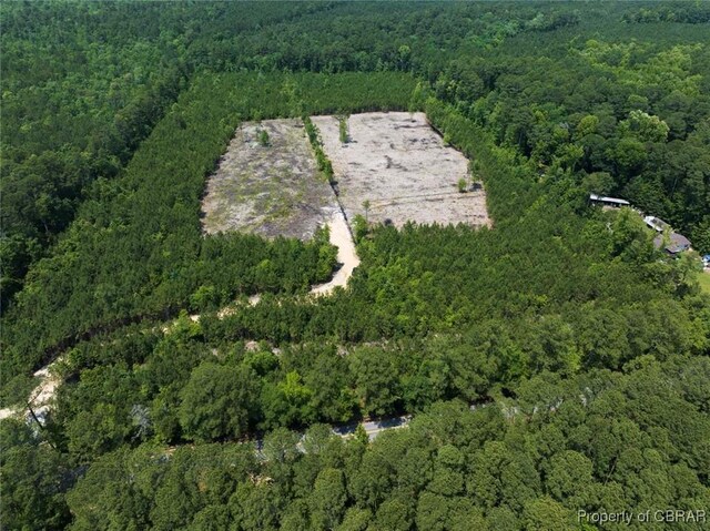 20AC Ridge Rd, Cobbs Creek, VA 23035 - photo 6
