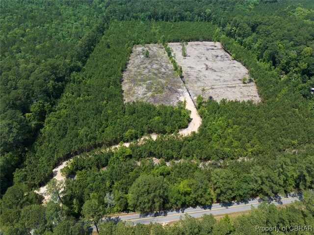 20AC Ridge Rd, Cobbs Creek, VA 23035 - photo 7