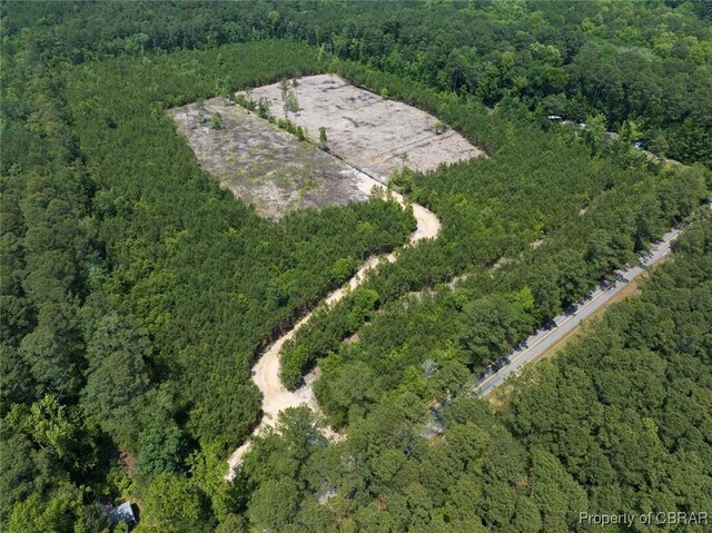 20AC Ridge Rd, Cobbs Creek, VA 23035 - photo 8