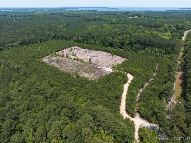 20AC Ridge Rd, Cobbs Creek, VA 23035 - photo 11