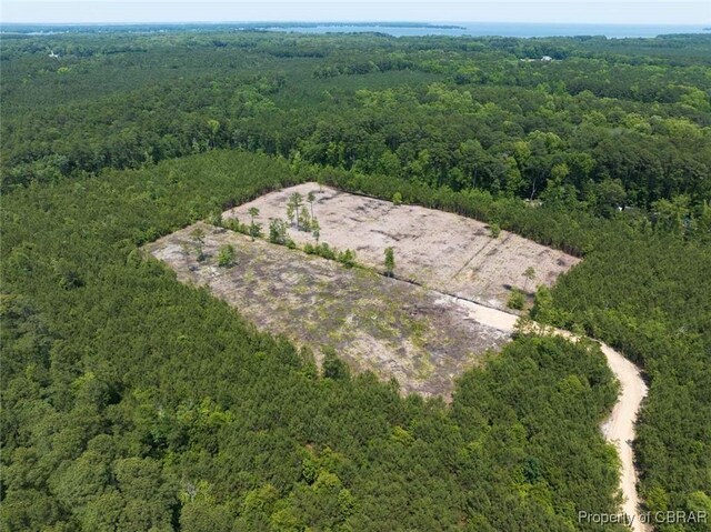 20AC Ridge Rd, Cobbs Creek, VA 23035 - photo 12