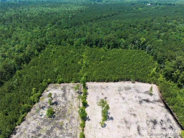 20AC Ridge Rd, Cobbs Creek, VA 23035 - photo 14