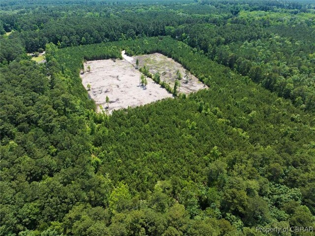 20AC Ridge Rd, Cobbs Creek, VA 23035 - photo 16