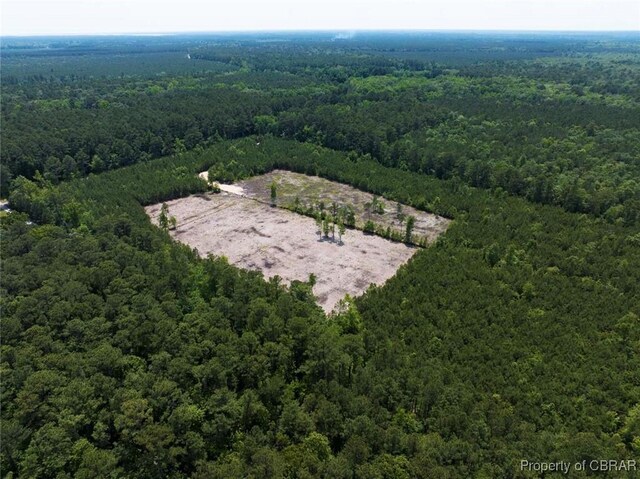 20AC Ridge Rd, Cobbs Creek, VA 23035 - photo 18