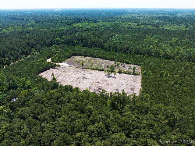 20AC Ridge Rd, Cobbs Creek, VA 23035 - photo 20