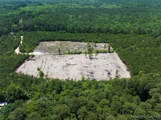 20AC Ridge Rd, Cobbs Creek, VA 23035 - photo 21