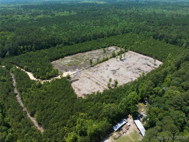 20AC Ridge Rd, Cobbs Creek, VA 23035 - photo 22