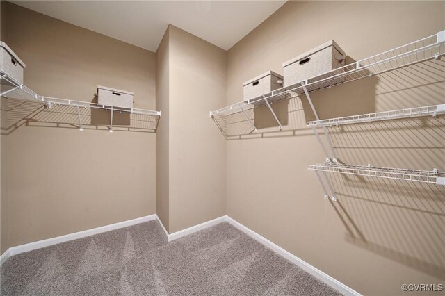 6112 Whisperwood Dr, Chesterfield, VA 23234 - spacious closet with carpet
