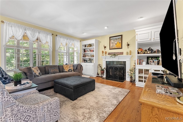 3105 Sapling Dr, Toano, VA 23168 - living area with light wood-type flooring and a fireplace with flush hearth