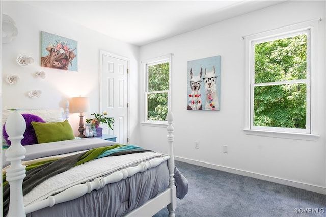 9154 Jump Cir, Mechanicsville, VA 23116 - carpeted bedroom with multiple windows