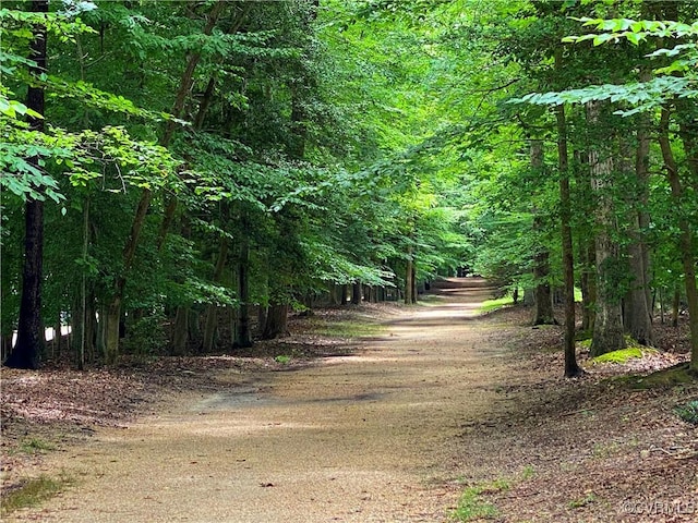305 E Tazewells Way, Williamsburg, VA 23185 - view of wooded area