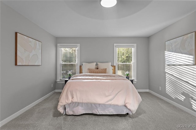 2941 Ellesmere Dr, Midlothian, VA 23113 - bedroom featuring light carpet