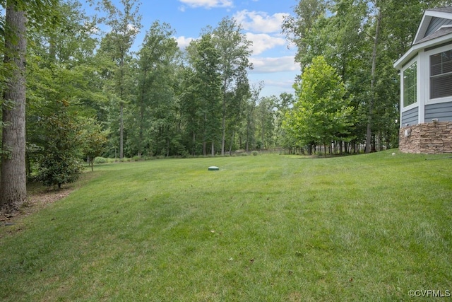 8300 Mckibben Dr, Chesterfield, VA 23838 - view of green lawn