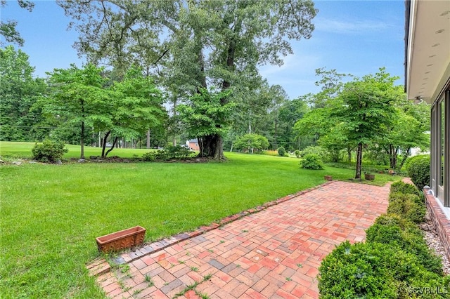 14383 Country Club Dr, Ashland, VA 23005 - photo 41
