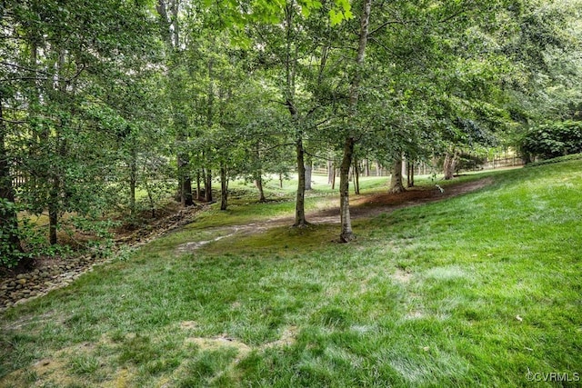 405 Elm Creek Dr, Manakin Sabot, VA 23103 - view of green lawn