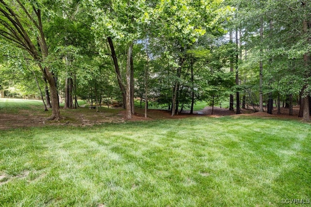 405 Elm Creek Dr, Manakin Sabot, VA 23103 - view of green lawn