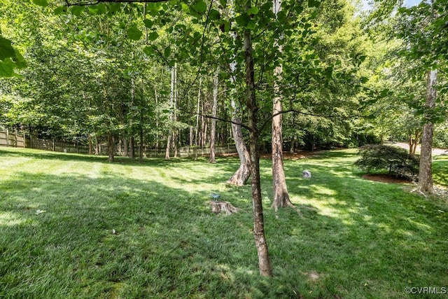 405 Elm Creek Dr, Manakin Sabot, VA 23103 - view of yard