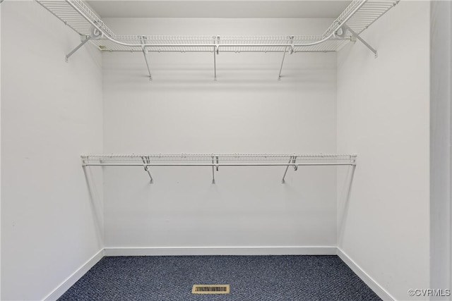 206 Northgate Ct, North Chesterfield, VA 23236 - walk in closet with dark colored carpet