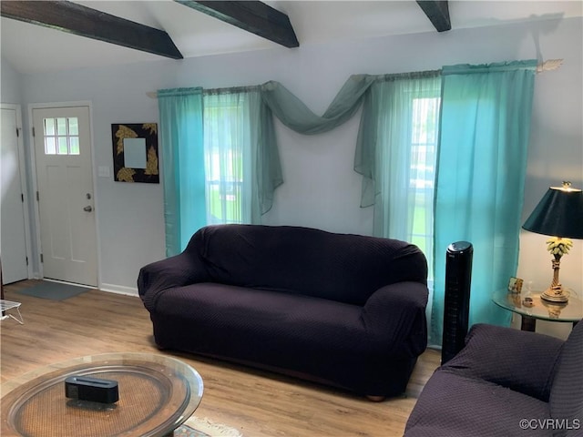 12400 Richmond St, Chesterfield, VA 23831 - living room featuring wood finished floors and baseboards