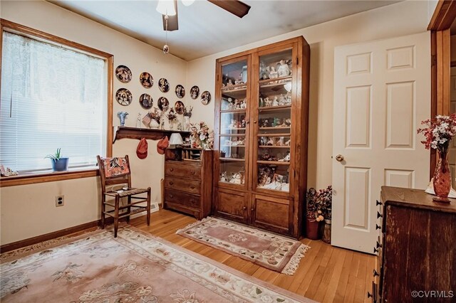 25014 James Ave, Dinwiddie, VA 23803 - office area with light wood-type flooring and a ceiling fan