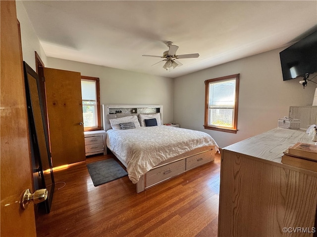 7360 Ford Ave, Mechanicsville, VA 23111 - bedroom featuring wood finished floors, multiple windows, and ceiling fan