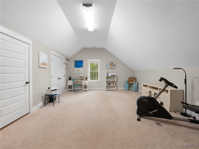 1270 Mill Quarter Rd, Powhatan, VA 23139 - workout room with carpet floors and vaulted ceiling