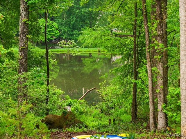 1270 Mill Quarter Rd, Powhatan, VA 23139 - water view featuring a heavily wooded area