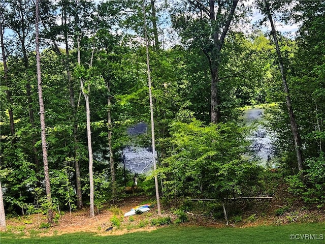 1270 Mill Quarter Rd, Powhatan, VA 23139 - view of yard featuring a forest view