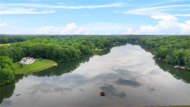 1270 Mill Quarter Rd, Powhatan, VA 23139 - aerial view of a nearby body of water