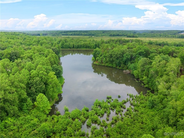 1270 Mill Quarter Rd, Powhatan, VA 23139 - bird's eye view of a heavily wooded area and a large body of water