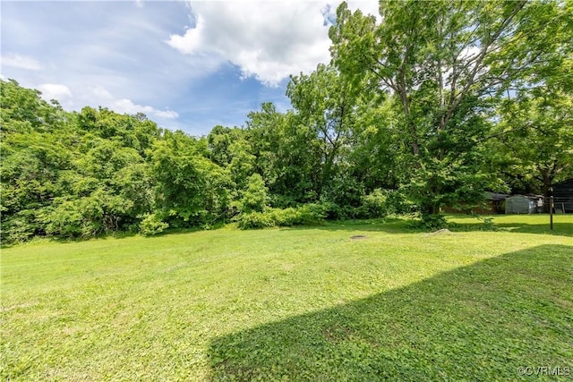 831 Traver Ave, Halifax, VA 24592 - photo 30