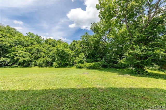 831 Traver Ave, Halifax, VA 24592 - photo 31
