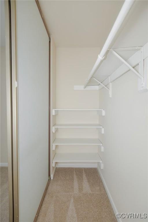 11808 N Briar Patch Dr, Midlothian, VA 22313 - spacious closet with light carpet