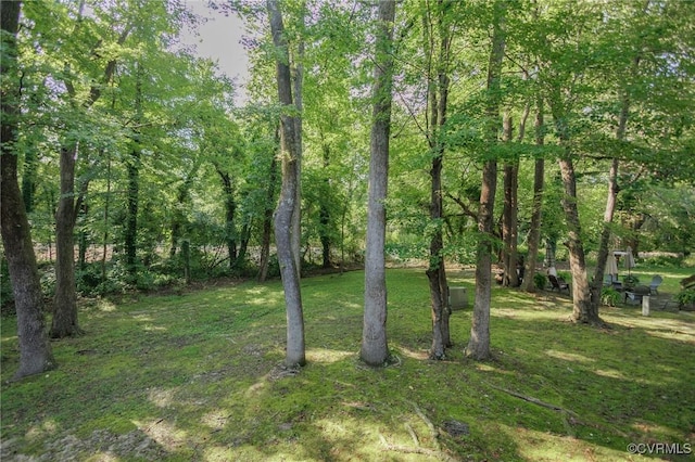 11808 N Briar Patch Dr, Midlothian, VA 22313 - view of grassy yard
