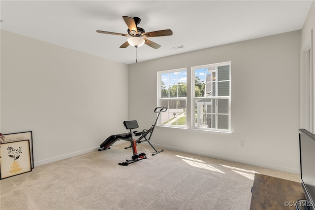 6112 Water Violet Ter, Moseley, VA 23120 - exercise area with carpet flooring and a ceiling fan
