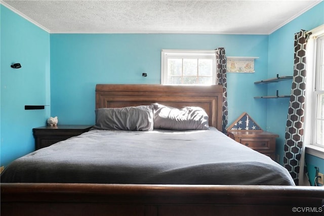 291 Briery Hills Dr, Meherrin, VA 23954 - bedroom with multiple windows, a textured ceiling, and crown molding