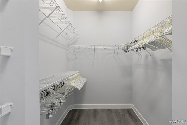 6430 Arwen Mews, Moseley, VA 23120 - walk in closet featuring dark wood-type flooring