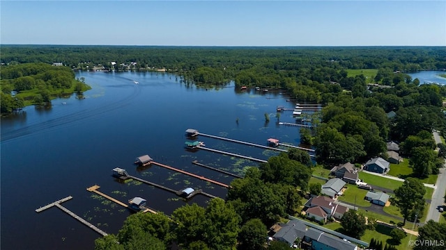 716 W Riverside Dr, Lanexa, VA 23089 - aerial view of a forest and a large body of water