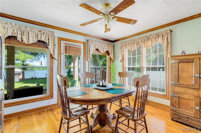 716 W Riverside Dr, Lanexa, VA 23089 - dining area featuring light wood-style floors, a ceiling fan, crown molding, and a textured ceiling